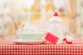 Hygiene kitchen cleanser Royalty Free Stock Photo