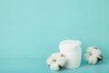 Hygienic disposable product cosmetic pads and cotton flower on blue background Royalty Free Stock Photo