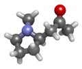 Hygrine coca alkaloid molecule. 3D rendering. Atoms are represented as spheres with conventional color coding: hydrogen (white),