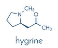 Hygrine coca alkaloid molecule. Skeletal formula.
