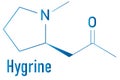 Hygrine coca alkaloid molecule. Skeletal formula. Chemical structure