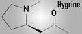 Hygrine coca alkaloid molecule. Skeletal formula. Chemical structure