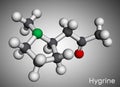 Hygrine pyrrolidine alkaloid molecule. It is found in the coca plant. Molecular model. 3D rendering