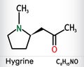 Hygrine pyrrolidine alkaloid molecule. It is found in the coca plant. Skeletal chemical formula