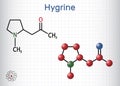 Hygrine pyrrolidine alkaloid molecule. It is found in the coca plant. Structural chemical formula and molecule model. Sheet of