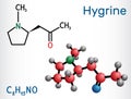 Hygrine pyrrolidine alkaloid molecule. It is found in the coca plant. Structural chemical formula and molecule model