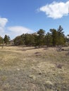 Hynds road hiking adventure mountains, trees, large rocks Royalty Free Stock Photo