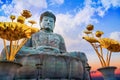 Hyogo Daibutsu - The Great Buddha at Nofukuji Temple in Kobe Royalty Free Stock Photo