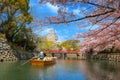 Himeji castle moat boat tour during full bloom cherry blossom in Hyogo, Japan Royalty Free Stock Photo