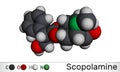 Hyoscine, scopolamine. L-Scopolamine molecule. It is natural plant alkaloid, psychoactive, anticholinergic, antimuscarinic drug.