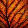 Autumn Leaves Close-Up Attractive Solid Background ,Generative AI Royalty Free Stock Photo