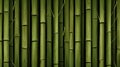 Hyper-detail Bamboo Wall Vector Wallpaper