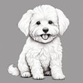 Hyper-detailed Illustration Of A White Bichon Frise Puppy