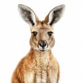 Hyper-detailed Kangaroo Portrait: Flora Borsi Inspired Photo-realistic Technique