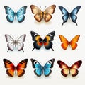 Hyper-realistic Butterfly Icon Set With Vibrant Colors Royalty Free Stock Photo