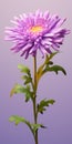 Hyper Realistic Chrysanthemum Illustration With Whimsical Character Design