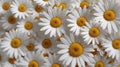 A hyper-realistic close-up of a daisy\'s center Royalty Free Stock Photo