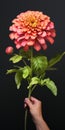 Hyper-realistic 3d Render Of A Pink Zinnia Flower With Stem