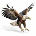 Hyper-realistic Eagle Illustration: Detailed Renderings Of An Eagle Hunting Royalty Free Stock Photo