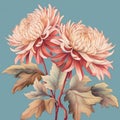 Hyper-realistic Grisaille Illustration Of Pink Chrysanthemums Royalty Free Stock Photo