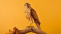 Hyper-realistic Hawk Perched On Branch: Stunning Photo With Bold Saturation