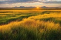 Hyper-realistic illustration of a field with mountains in the background during sunset