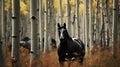 Hyper Realistic Image Of Black Horse Feeding In Aspen Tree Grove