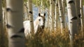 Hyper Realistic Image Of Horse Feeding In Aspen Tree Grove