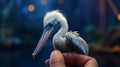 Hyper-realistic Pelican Illustration With Dreamy Lighting