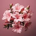 Hyper-realistic Pink Azalea: A Graceful Micro Photograph