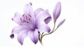 Hyper-realistic Purple Lily Flower Illustration: Symbol Of Purity Royalty Free Stock Photo