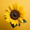 Vibrant Zbrush Sunflower Art On Yellow Background