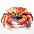 Hyper-realistic Watercolor Crab Illustration With Textured Shading
