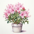 Hyper-realistic Watercolor Illustration Of Pink Azaleas In Pot