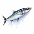 Hyper-realistic Watercolor Mackerel Illustration On White Background