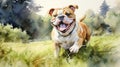 Vibrant Watercolor Painting Of An English Bulldog Running In A Green Meadow