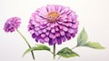 Hyper-realistic Watercolor Painting Of Purple Zinnia On White Background Royalty Free Stock Photo