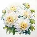 Hyper-realistic Watercolor Painting Of White And Yellow Dahlias