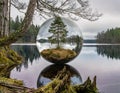 A hyperdetailed image of a glass sphere, inside of which is a tranquil lake, in whose center is a small island on which grows a Royalty Free Stock Photo