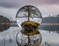 A hyperdetailed image of a glass sphere, inside of which is a tranquil lake, in whose center is a small island on which grows a Royalty Free Stock Photo