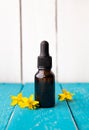 Hypericum perforatum known as perforate St John`s-wort tincture or oil bottle with plant flowers for decoration on blue color wood Royalty Free Stock Photo