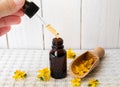 Hypericum perforatum known as perforate St John`s-wort tincture or oil bottle with plant flowers for decoration on white wood boar Royalty Free Stock Photo