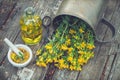 Hypericum - St Johns wort plants, oil or infusion bottle, mortar on wooden board. Royalty Free Stock Photo