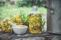 HSt Johns wort plants, oil or infusion transparent bottle, mortar on wooden table outdoors.