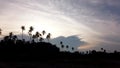 Hyperlapse Sunset Nature with Silhouette of Coconut Trees and dark landscape