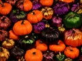 Hyper realistic dark pumpkin closeup rainbow tones.
