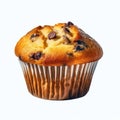 Hyperrealism Photography: Muffin De Choclo With Chocolate Chip