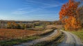 Hyperrealistic autumn vibrant foliage, countryside road, blue sky in ultra detailed wide angle hdr