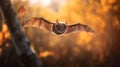 Hyperrealistic Bat In Autumn Forest Hd Wallpapers