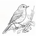 Hyperrealistic Bird Coloring Page: Robin Outline For Children\'s Coloring Book